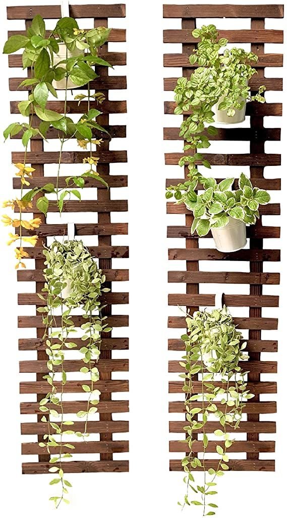 Premium Teak Wood Wall Plant Holder | Solid Wooden Vertical Garden Display Rack - Image 3