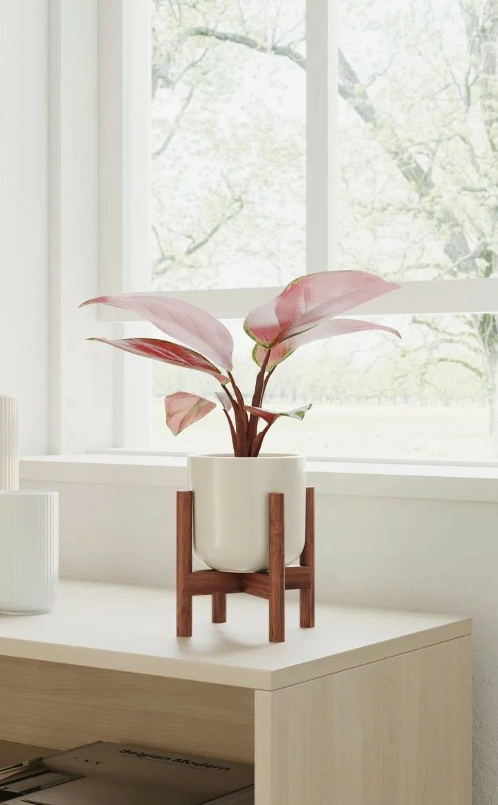 Teak wood Planter - Set of 4 - Indoor Plant pot Stand - Image 3