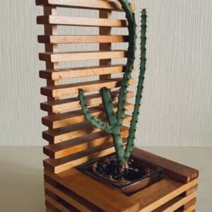Teak Wood Planter with Trellis. Solid Wood Garden Planter for Climbing Plants